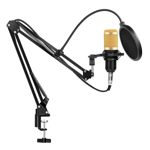 میکروفن کندانسر مدل BM800 همراه با کارت صدا V8